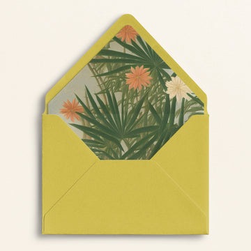 The Editorial Collection: Envelope Liners