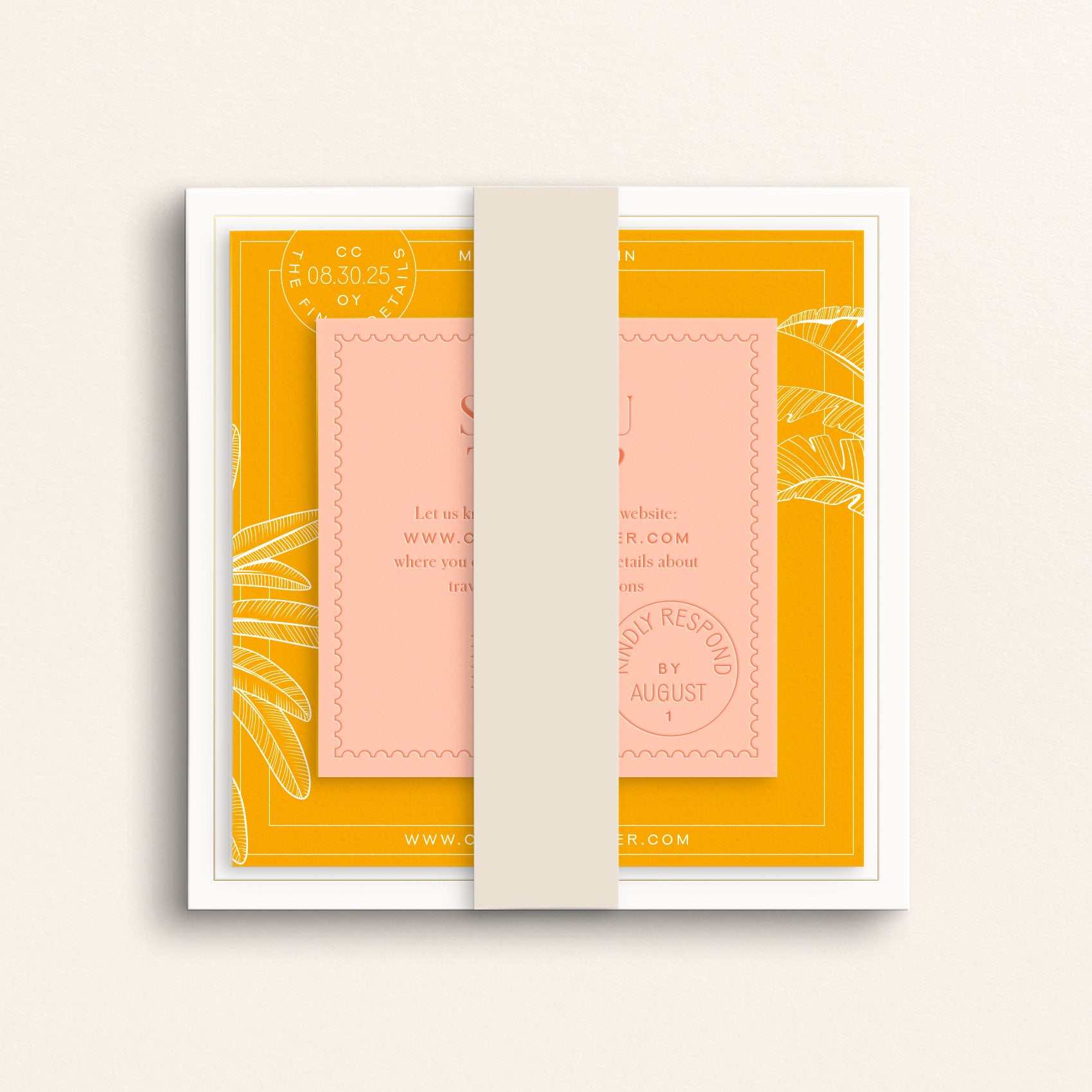 The Passport Collection: Belly Bands