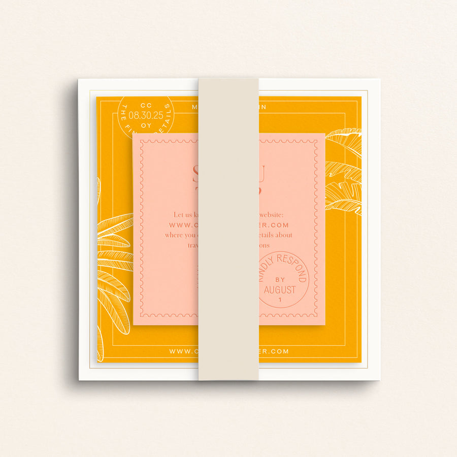 The Passport Collection: Belly Bands